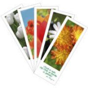 Knižné záložky Knižné záložky