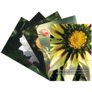 Pohľadnice s obálkou Pohľadnice s obálkou