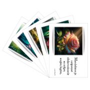 Kvety 04 (NOVÉ!) Kvety 04 (NOVÉ!)