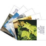 Príroda 03 Príroda 03