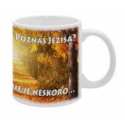 Evanjelizačné