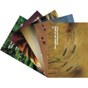 Príroda 02 Príroda 02