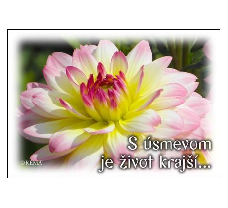 Kvety 02