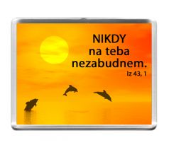 Nikdy na teba...