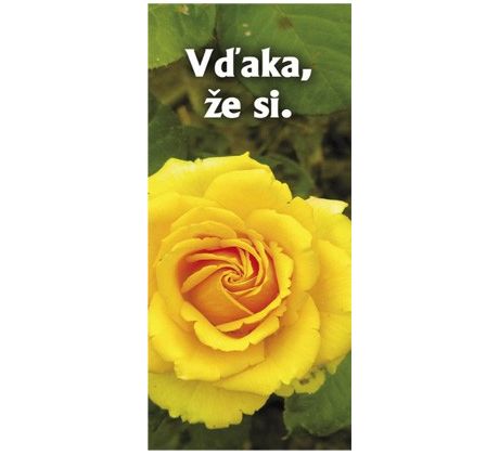 Vďaka, že si