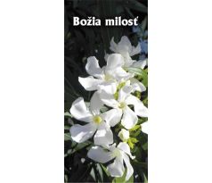 Božia milosť