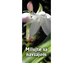 Milujte sa navzájom