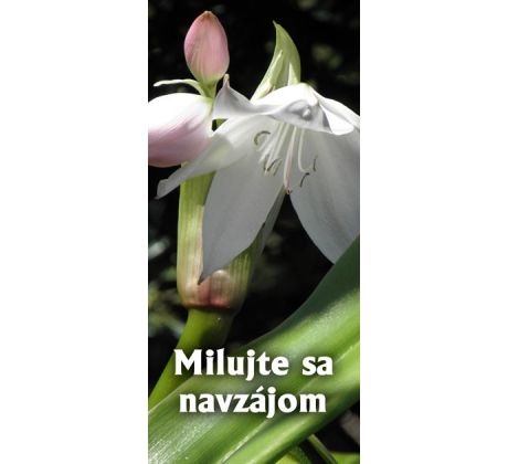 Milujte sa navzájom