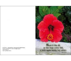 Kvety s obálkou-sada pohľadníc 1 druh
