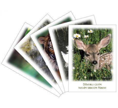 Príroda 05 – sada magnetiek