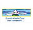 Spievajte a hrajte Pánovi...