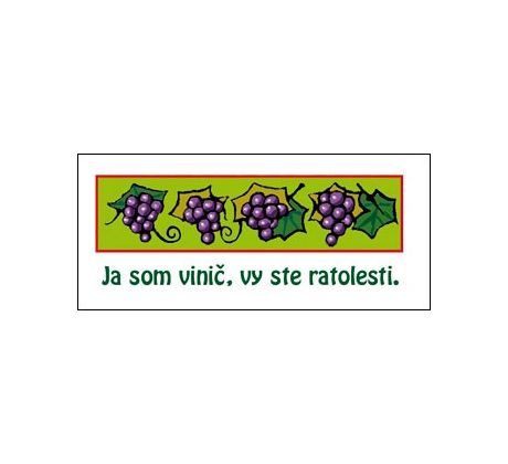 Ja som vinič...