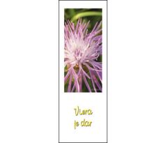 Viera je dar