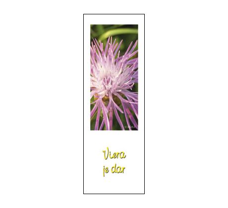 Viera je dar